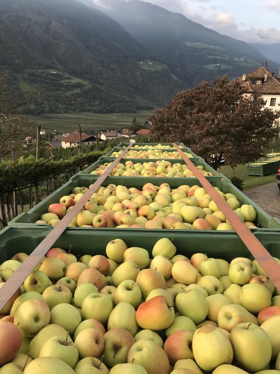 Klostergut Castelbello Eksteriør billede